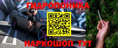 скорость Будённовск