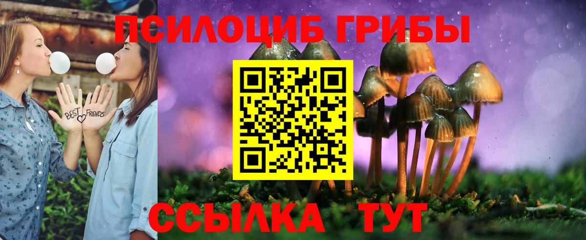 Реутов  Псилоцибиновые грибы GOLDEN TEACHER  Вход с VPN 